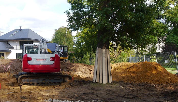 Protection des arbres pendant les travaux
